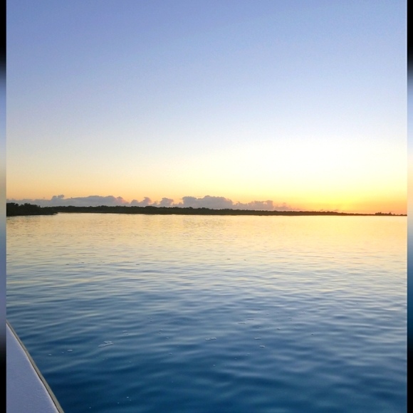 Share Show with Designer Bags, Wallets, Jewelry & Accessories. No Clothes Pls - Picture 8 of 15